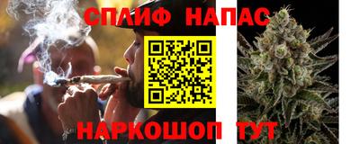 сатива Бузулук