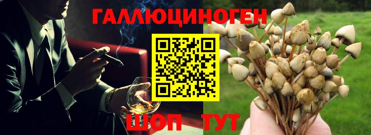 Псилоцибиновые грибы мицелий  Псилоцибиновые грибы ЛСД  Вход с VPN  Шебекино 