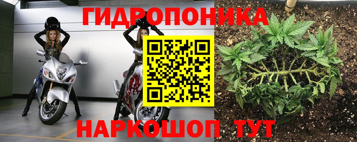 МАРИХУАНА планчик Шебекино